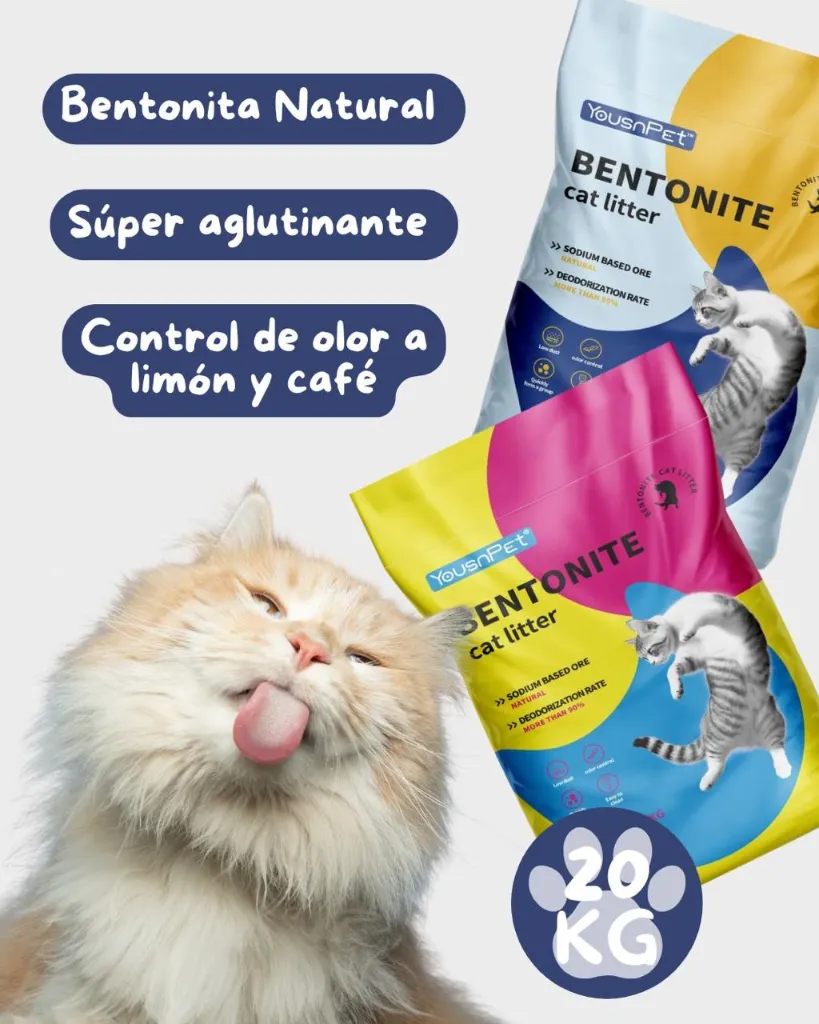 WhatsApp Image 2026-01-28 at 12.19.31 PM (1).webp