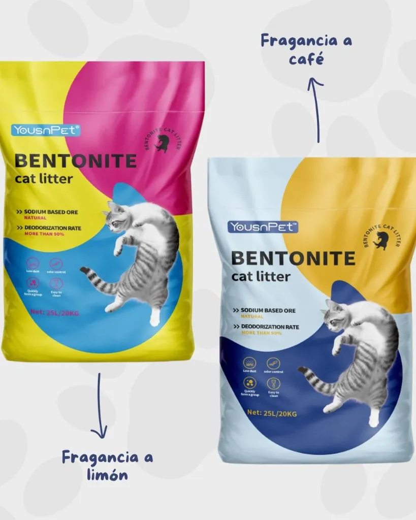 WhatsApp Image 2026-01-28 at 12.19.31 PM (2).webp