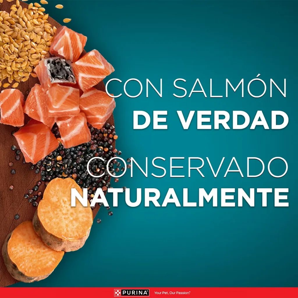 PurinaONE-Wet-eContent-Gato_Superfoods_03-convertido-de-avif.webp