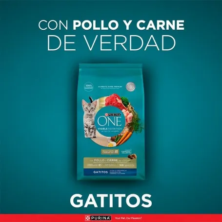 purina-one-gatitos-de-pollo-y-carne-2kg (1).webp