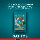 purina-one-gatitos-de-pollo-y-carne-2kg (1).webp