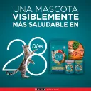 purina-one-gatitos-de-pollo-y-carne-2kg (2).webp