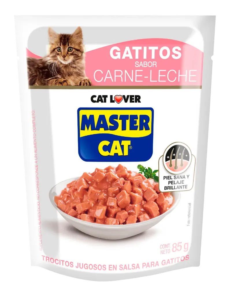 trozos-gatitos.webp