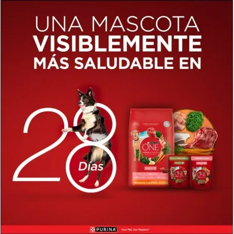 purina-one-perros-adulto-mediano-y-grande-pollo-y-cordero-12-kilos (1).webp