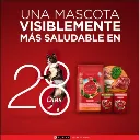 purina-one-perros-adulto-mediano-y-grande-pollo-y-cordero-12-kilos (1).webp