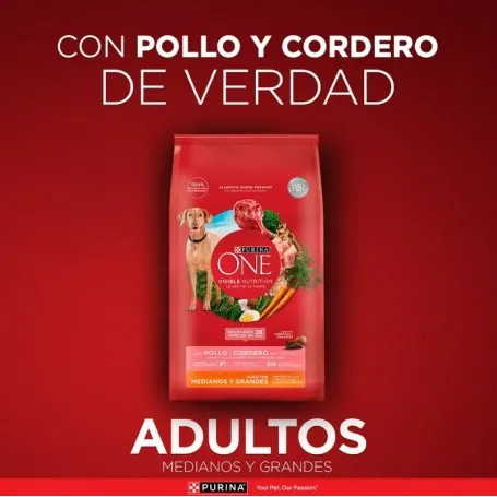 purina-one-perros-adulto-mediano-y-grande-pollo-y-cordero-12-kilos (2).webp