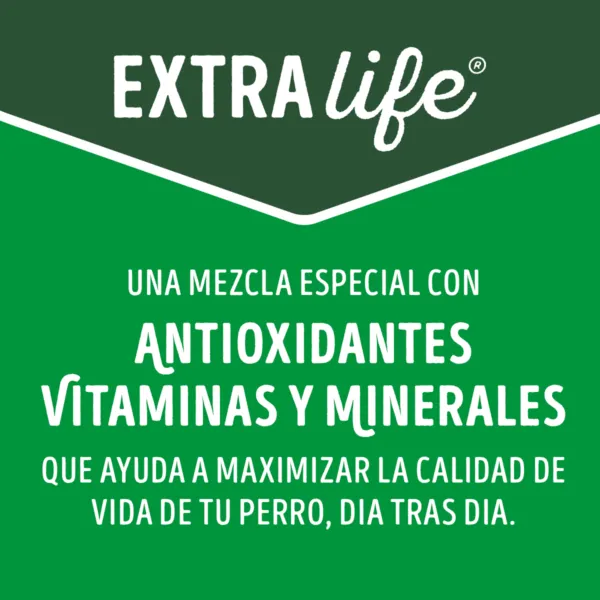 5.-Extralife-600x600.webp