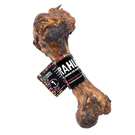 Hueso Fémur de Cerdo Rahue