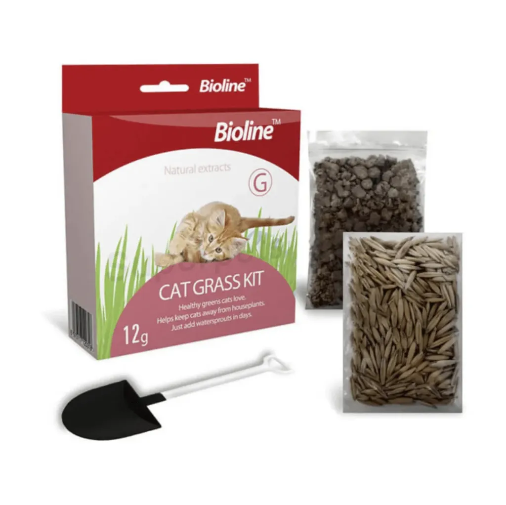 Semillas Hierba gatera KIT PASTO PARA GATOS 12g