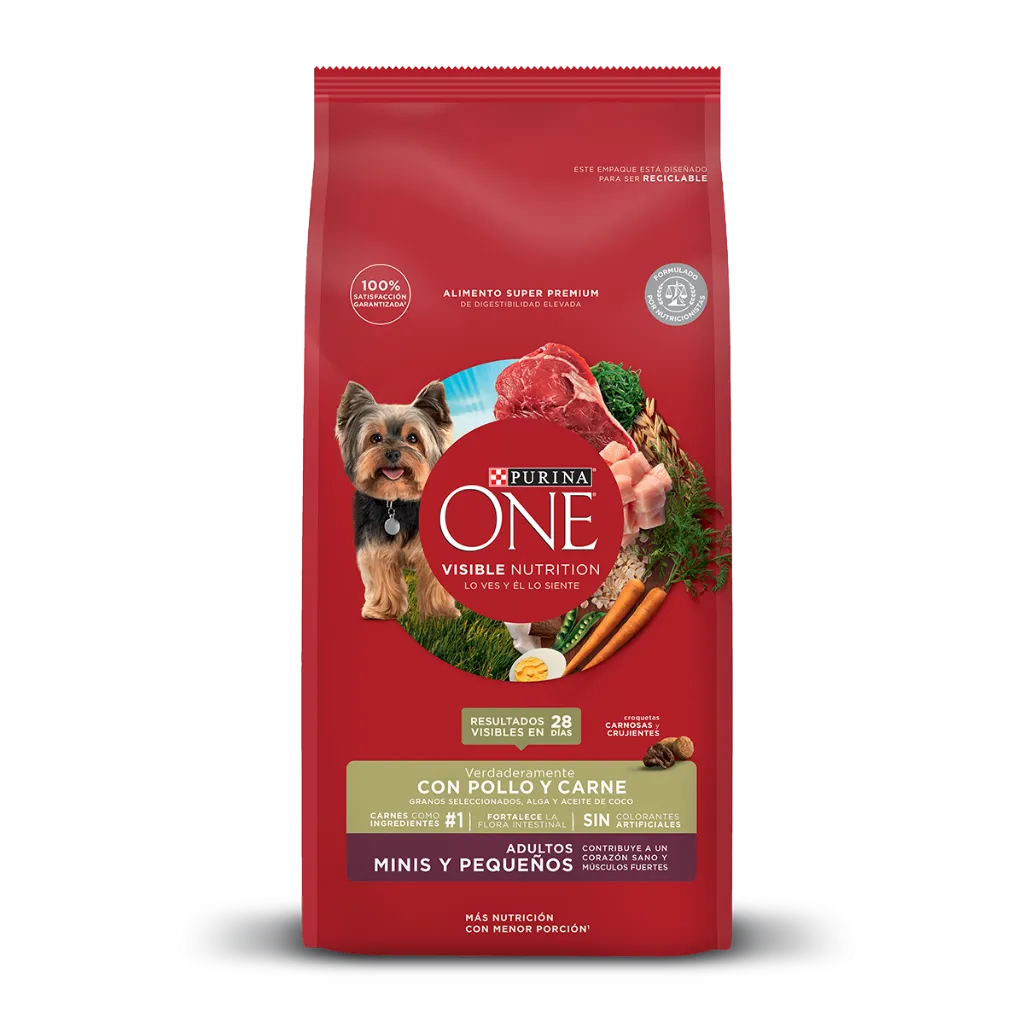 Purina One Perros Adultos Minis Y Pequeños Pollo Y Carne 2Kg